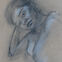 Fusains, Pastels, visages, 2007