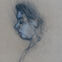 Fusains, Pastels, visages, 2007