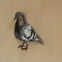 Fusains, Pastels, 30x50, pigeons, 2019