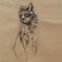 Fusains, Pastels, 30x50, chats, 2018