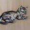 Fusains, Pastels, 30x50, chats, 2018