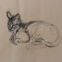 Fusains, Pastels, 30x50, chats, 2018