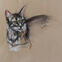 Fusains, Pastels, 30x50, chats, 2018