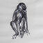 Crayon, 36x25, singes, 2018