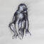 Crayon, 36x25, singes, 2018